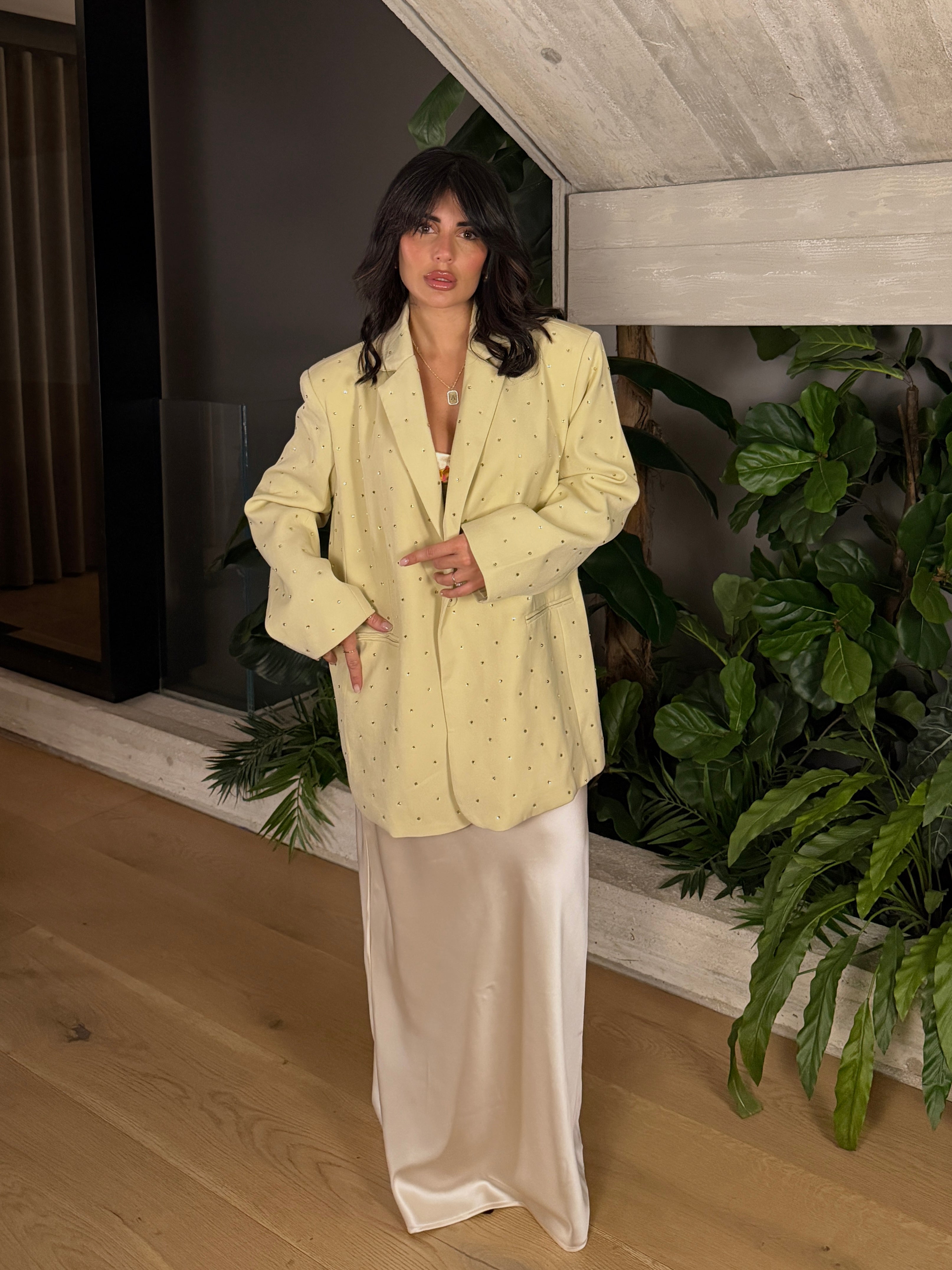 BLAZER CRYSTAL COLOR